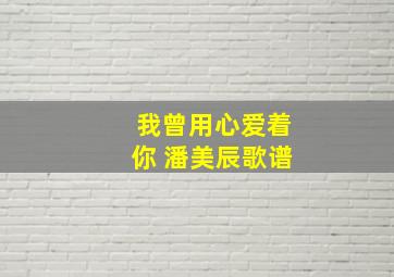 我曾用心爱着你 潘美辰歌谱